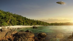 Landscapes Trees forests fantasy