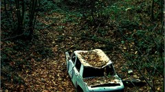 Landscapes Trees France cars rust Photographers forests artwork 