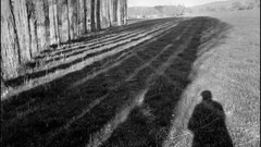 Landscapes Trees France shadows grayscale Henri Cartier-Bresson