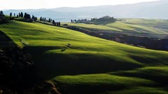 Landscapes Trees hills Italy fields Tuscany