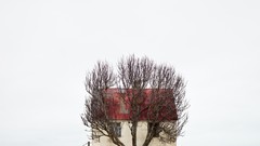 Landscapes Trees houses Alvaro Sanchez Montanes
