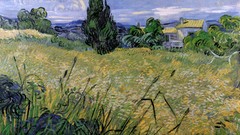 Landscapes Trees houses fields cypress Vincent van Gogh artwork 