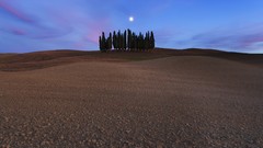 Landscapes Trees Italy cypress siena Cipressi San Quirico 