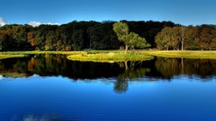 Landscapes Trees lakes Albania