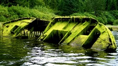 Landscapes Trees moss Boats Algae abandoned lakes