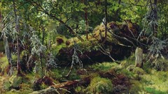 Landscapes Trees moss paintings Russian forests artwork 