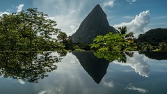 Landscapes Trees Mountains reflections caribbean saint lucia