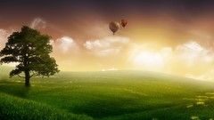 Landscapes Trees nature