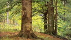 Landscapes Trees paintings forests artwork Theodore Clement 