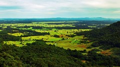 Landscapes Trees plains