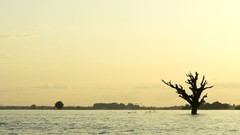 Landscapes Trees silhouettes lonely lakes travel Myanmar