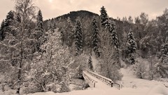 Landscapes Trees snow winter Bridges HDR Photography pedestrian 