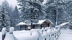 Landscapes Trees snow winter forests chalets