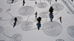 Landscapes Trees snow winter spiral sunlight footprint