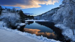 Landscapes Trees snow winter water ice white tree