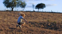 Landscapes Trees the tree