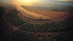 Landscapes Trees trains railroad