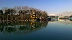 Landscapes Trees water blue entertainment morning lakes Parks 