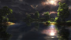 Landscapes Trees water sun clouds light Birds lakes forests 