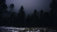 Landscapes Trees winter night dark Canada quebec forests 