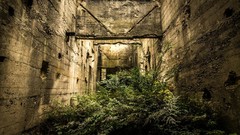 Landscapes vegetation ruins