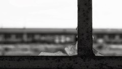 Landscapes view grayscale Urban exploration trains