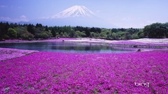 Landscapes Volcanoes bing