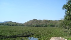 Landscapes water blue Green Lilies Mexico lakes skies laeirbag 