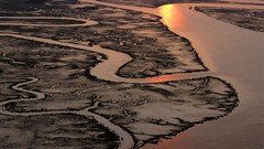 Landscapes water South Carolina Salt aerial marsh