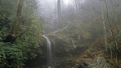 Landscapes waterfalls national park Tennessee great smoky 