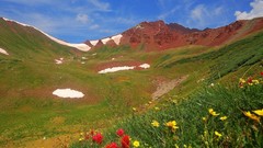 Landscapes Wildflowers