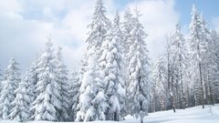 Landscapes winter snow Earth