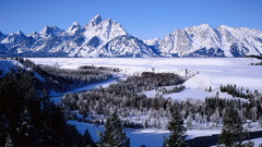 Landscapes winter snow forests