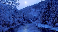 Landscapes winter snow sun