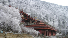 Landscapes winter snow Trees