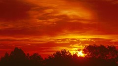 Landscapes Wisconsin