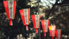 Lanterns chinese lantern