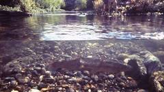 Large LOL high Almost Resolution cfbadce