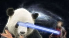 Laser panda Bears Animals