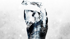 Lateralus by vhm Alex