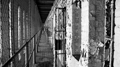 Law prison Springfield Cell