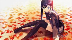 leaves Anime anime girls sitting stockings school uniform
