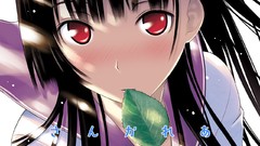 Leaves Anime red eyes blush long hair anime girls seifuku black 