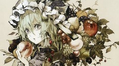 Leaves apples Plants grapes hats pears faces strawberries 