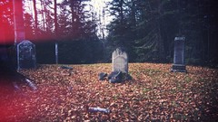 Leaves autumn graves cemetery fallen leaves headstone