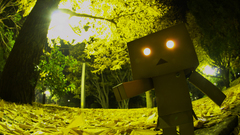 Leaves danboard glowing eyes