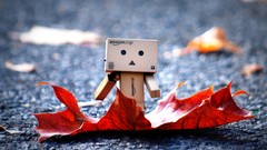 Leaves danboard macro brands