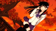 Leaves freedom wind autumn orange Anime anime girls brunettes 
