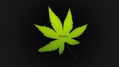 Leaves marijuana ubuntu hemp