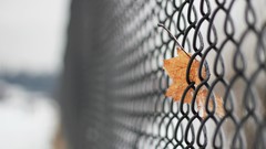 Leaves mesh fences Chain Link Fence